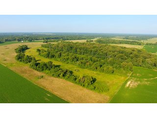 TRACT 23 - ILLINOIS LAND AUCTION - 4,810+/- ACRES OFFERED IN 85 TRACTS IN FRANKLIN, WILLIAMSON, HAMILTON & SALINE COUNTIES, ILLINOIS